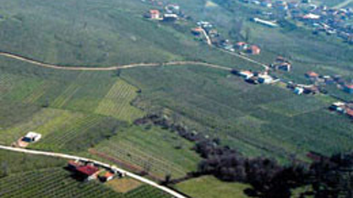 2-B’de rayiç bedel %50