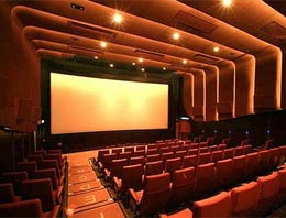 En iyi yönetmen ödülü bir Türk'ün