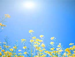 Yeni haftada bahar müjdesi!