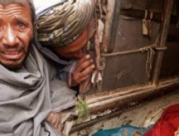 'Afganistan'daki saldırı münferit bir olay'