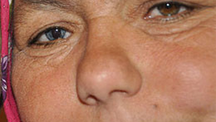 Onlar dünyaya mavi kahverengi bakıyor